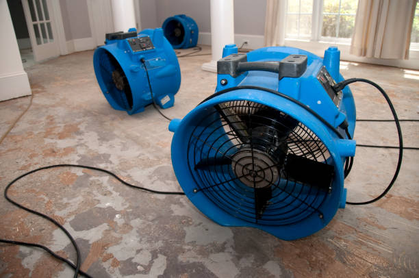 Best Basement water damage restoration  in Oak Creek, WI