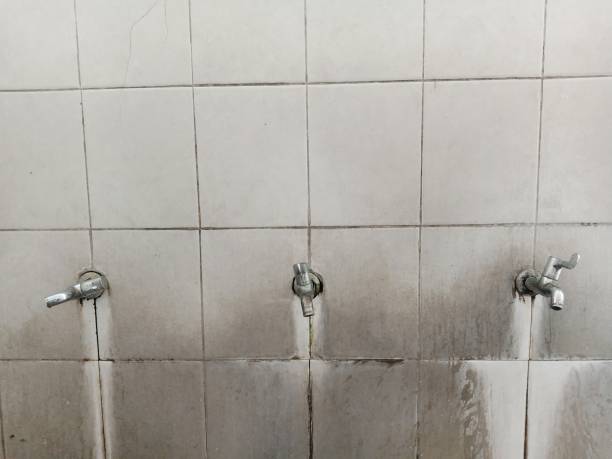 Best Flooded house restoration  in Oak Creek, WI