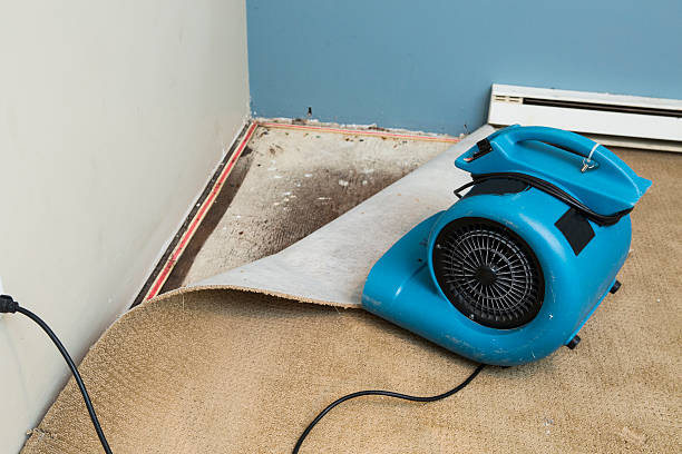 Best 24-hour water damage restoration  in Oak Creek, WI